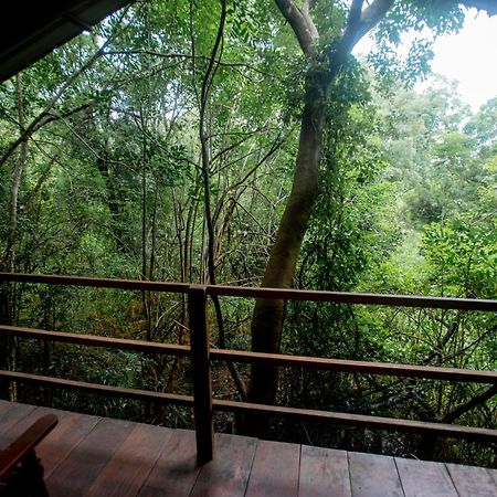 Inn On The Tree Eco Resort Sigiriya Kibissa Buitenkant foto