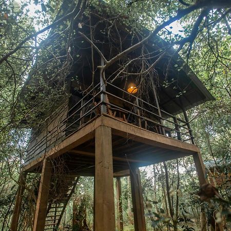 Inn On The Tree Eco Resort Sigiriya Kibissa Buitenkant foto