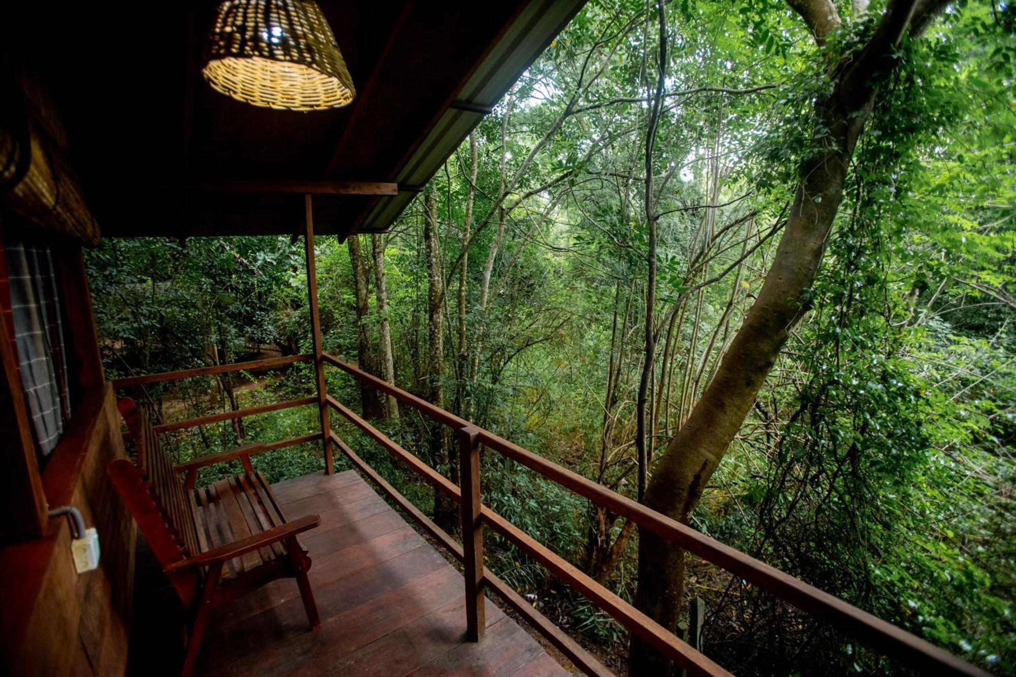Inn On The Tree Eco Resort Sigiriya Kibissa Buitenkant foto