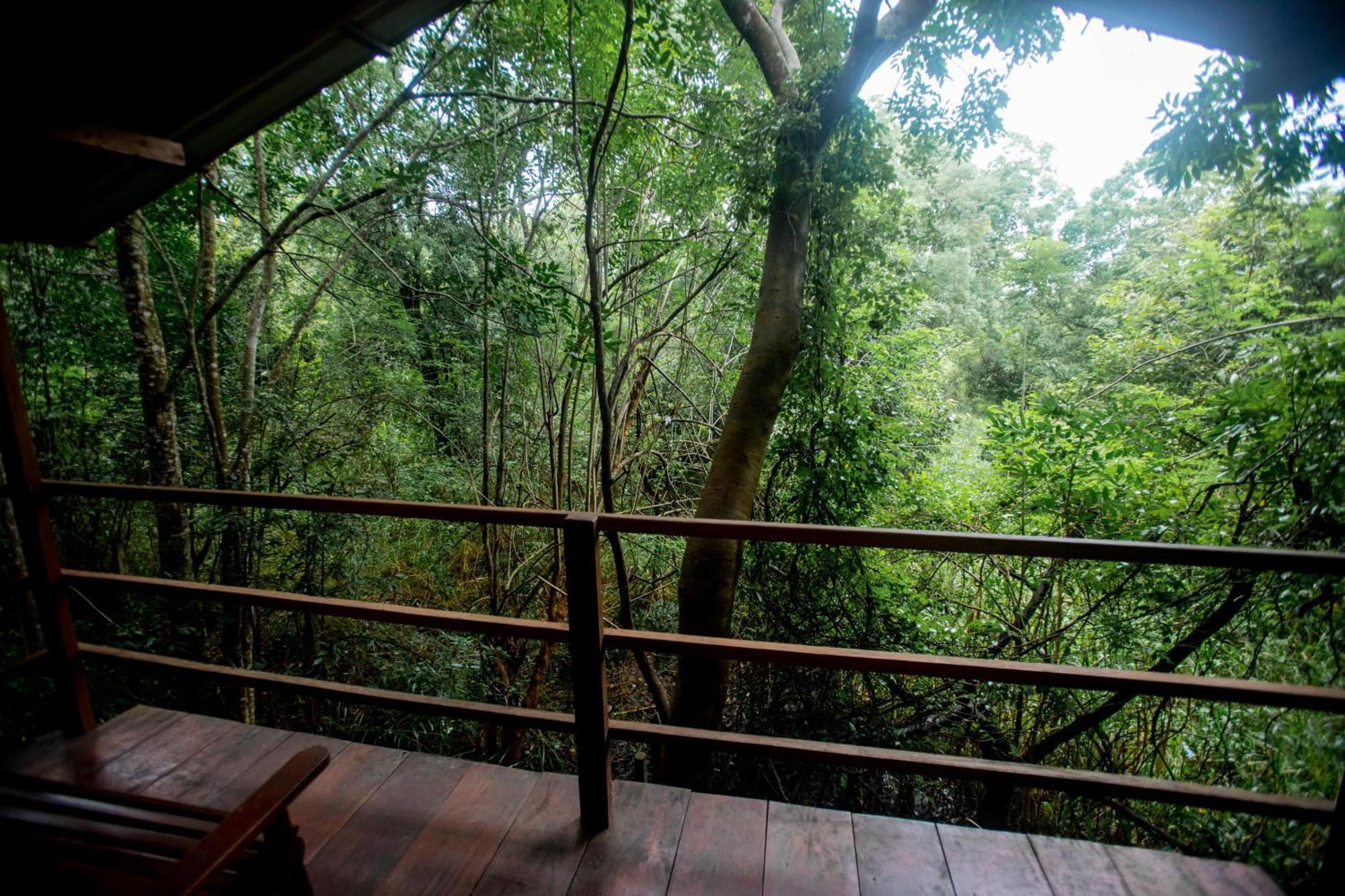 Inn On The Tree Eco Resort Sigiriya Kibissa Buitenkant foto