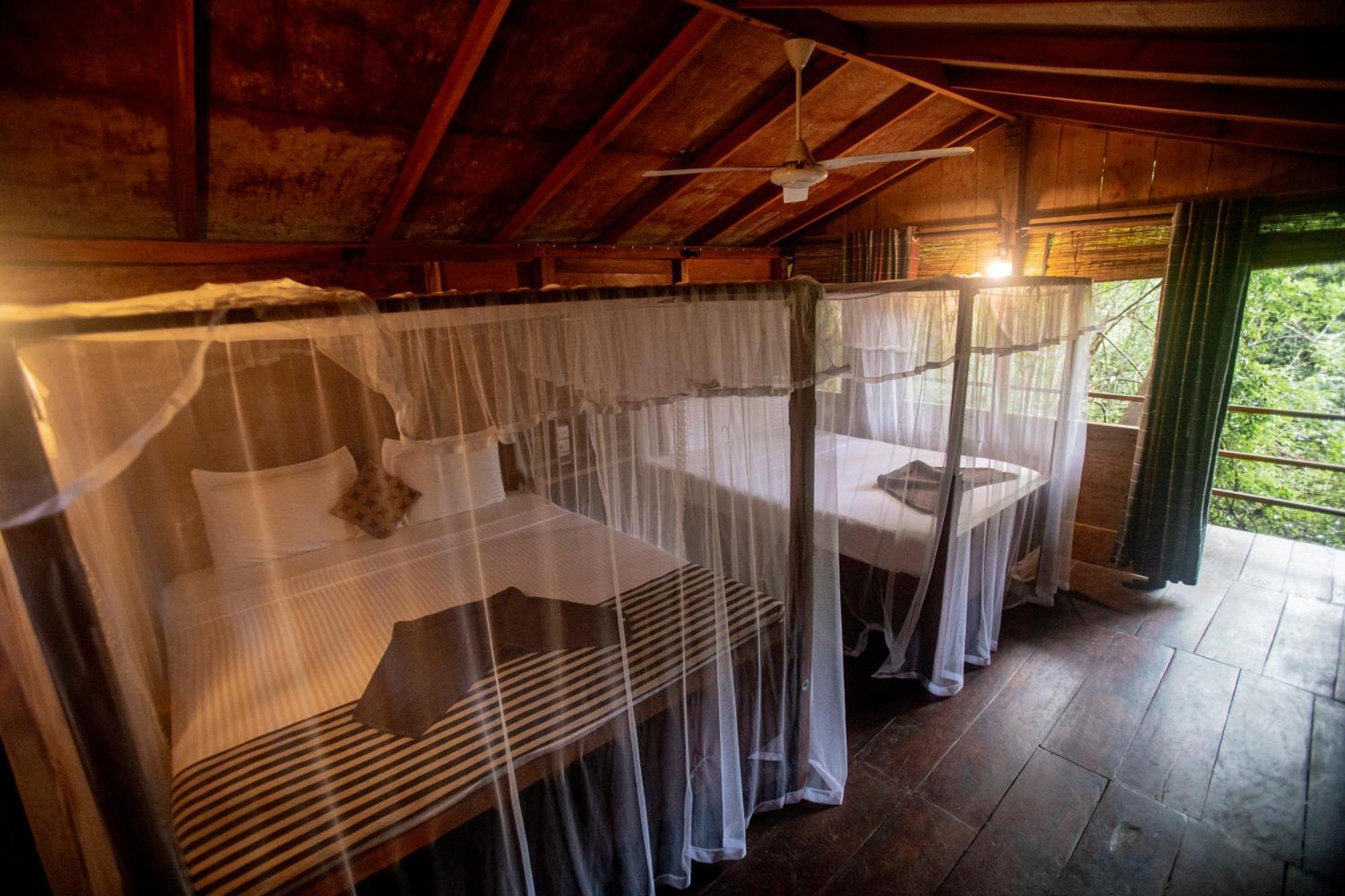 Inn On The Tree Eco Resort Sigiriya Kibissa Buitenkant foto