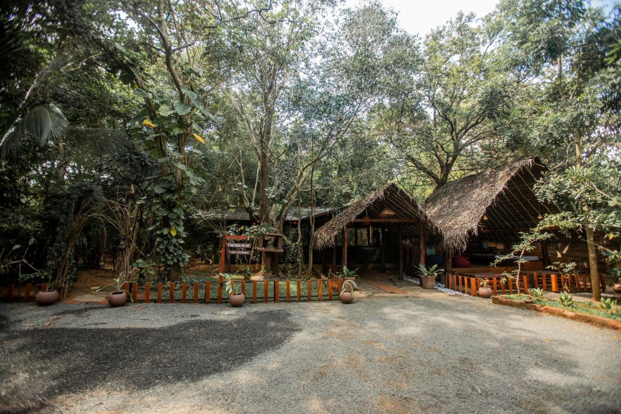 Inn On The Tree Eco Resort Sigiriya Kibissa Buitenkant foto