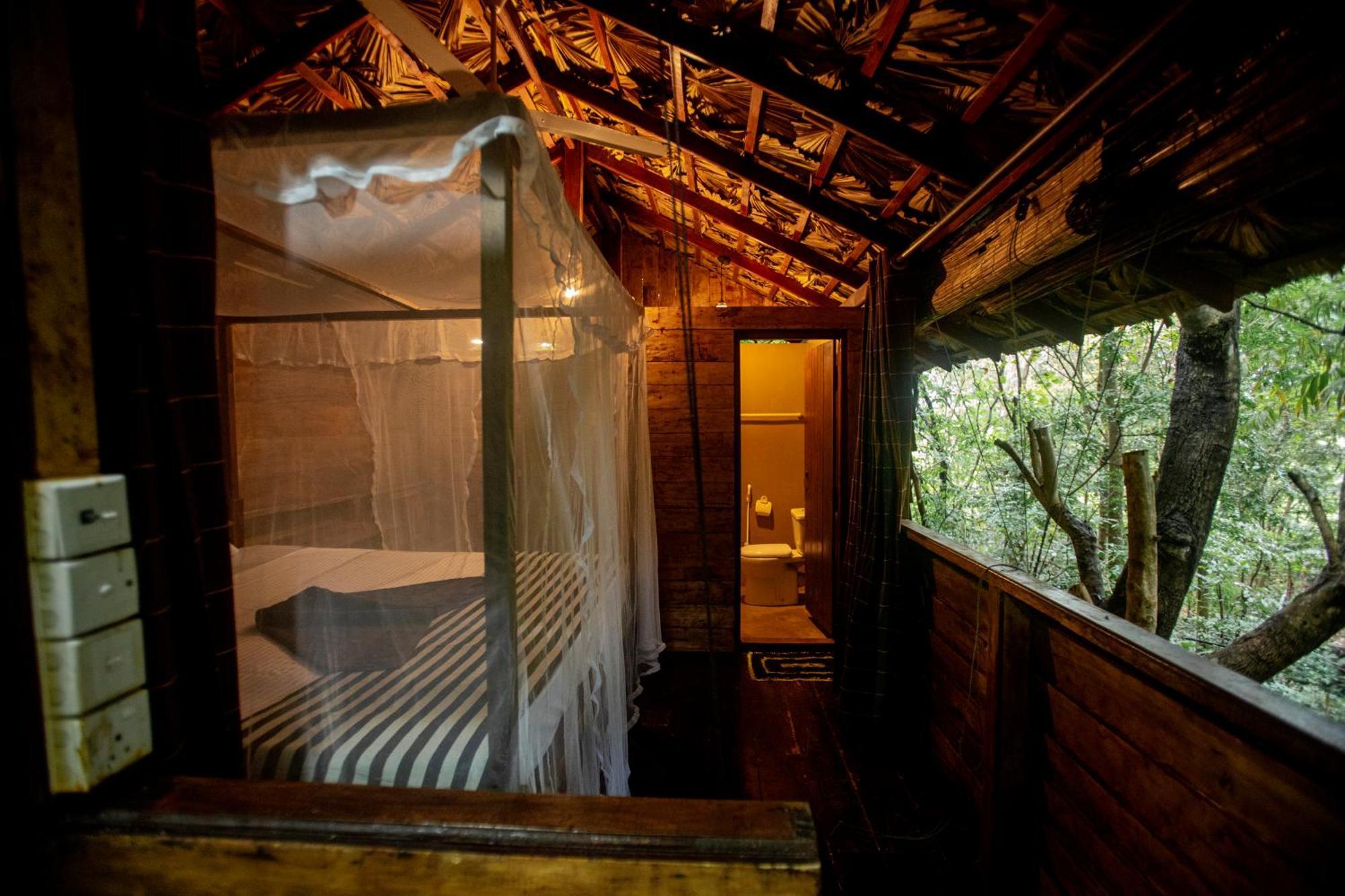 Inn On The Tree Eco Resort Sigiriya Kibissa Buitenkant foto