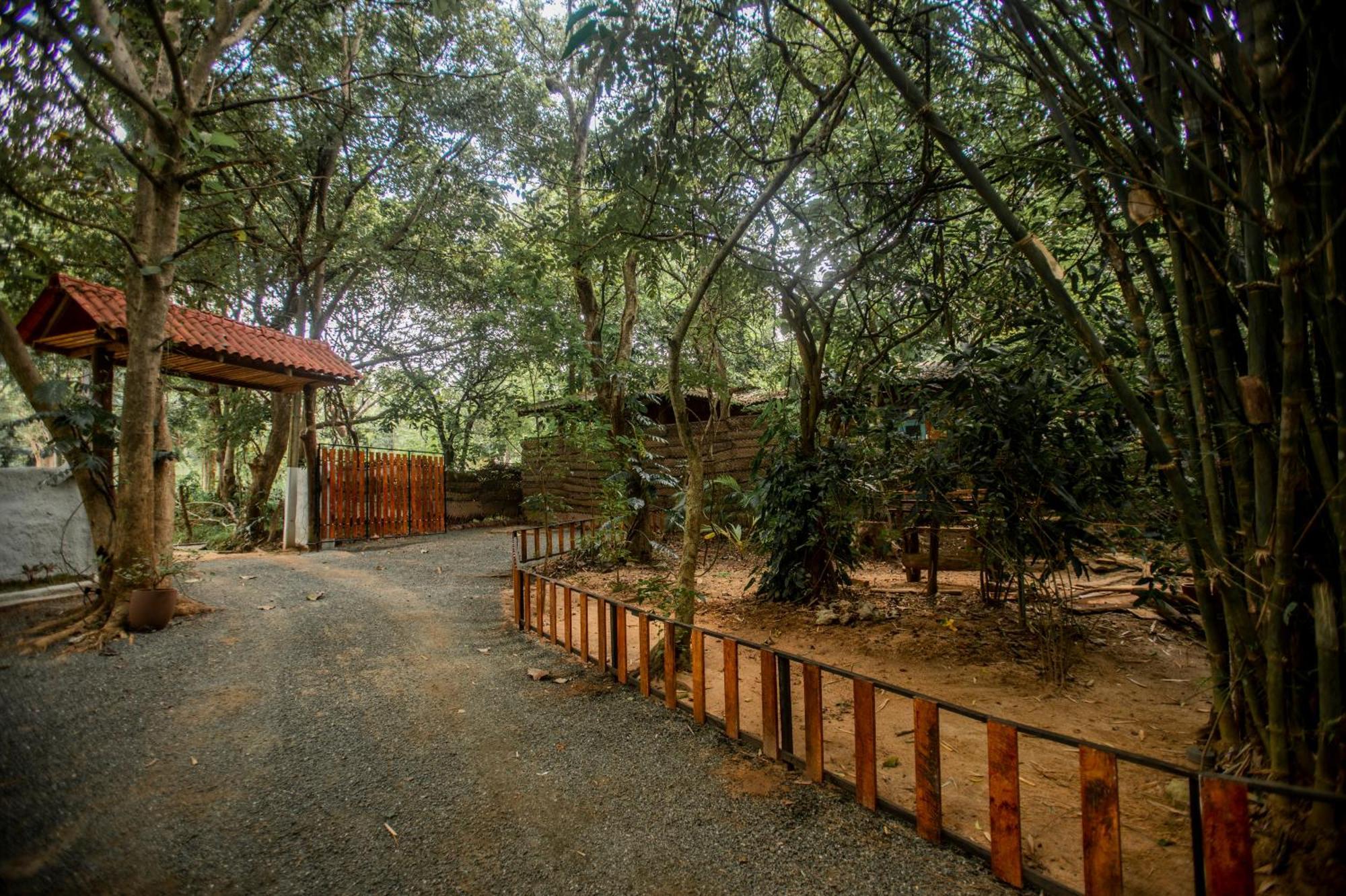 Inn On The Tree Eco Resort Sigiriya Kibissa Buitenkant foto