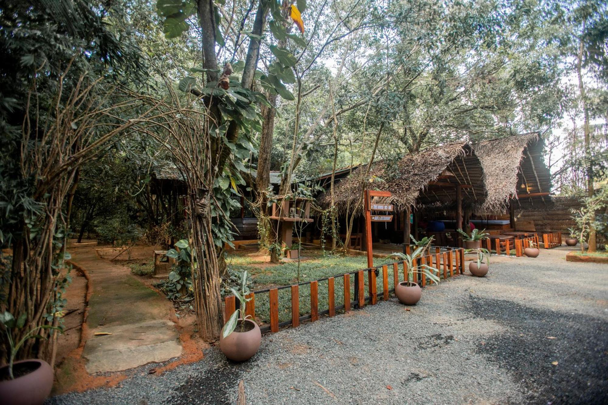 Inn On The Tree Eco Resort Sigiriya Kibissa Buitenkant foto