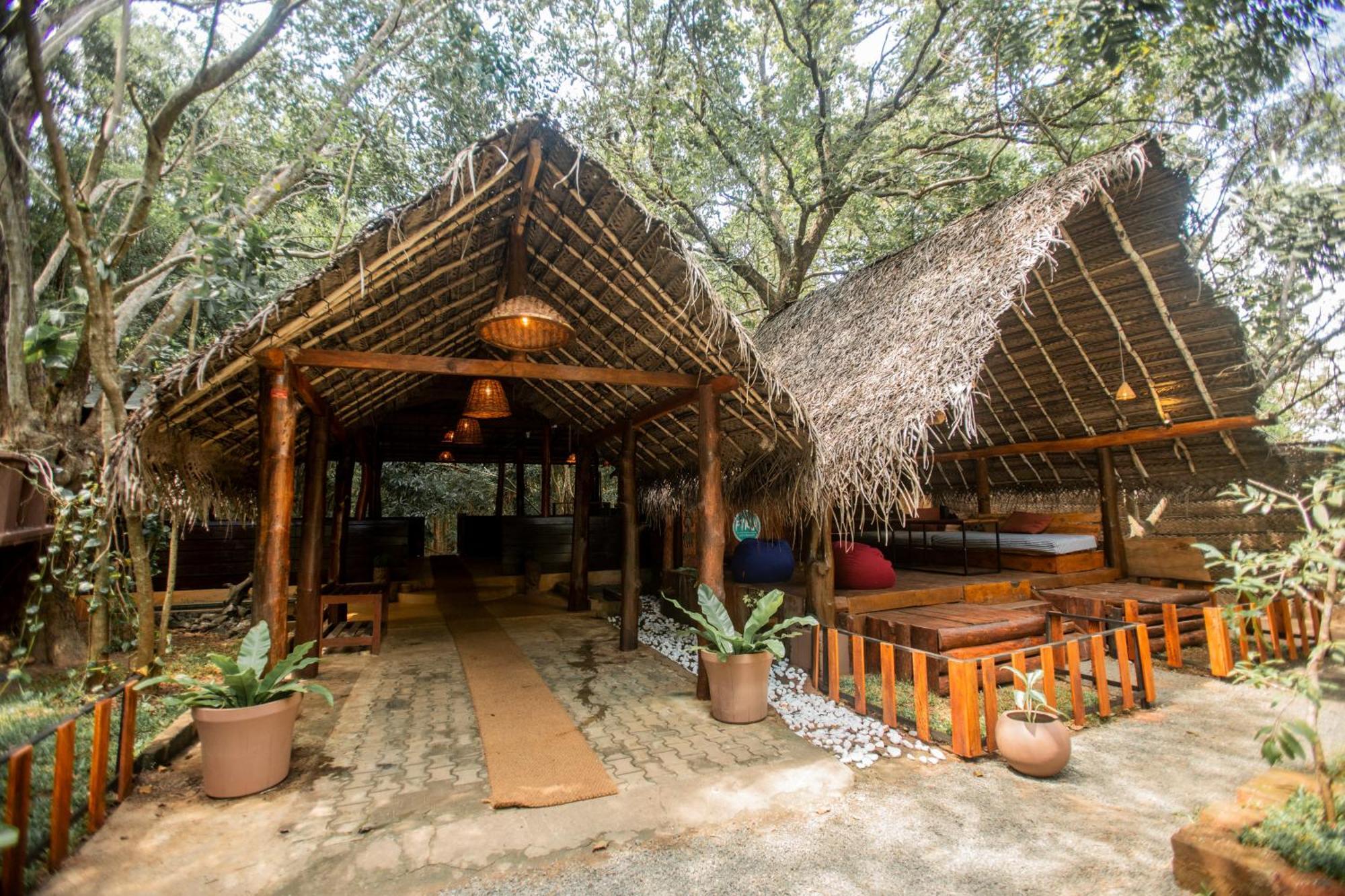 Inn On The Tree Eco Resort Sigiriya Kibissa Buitenkant foto