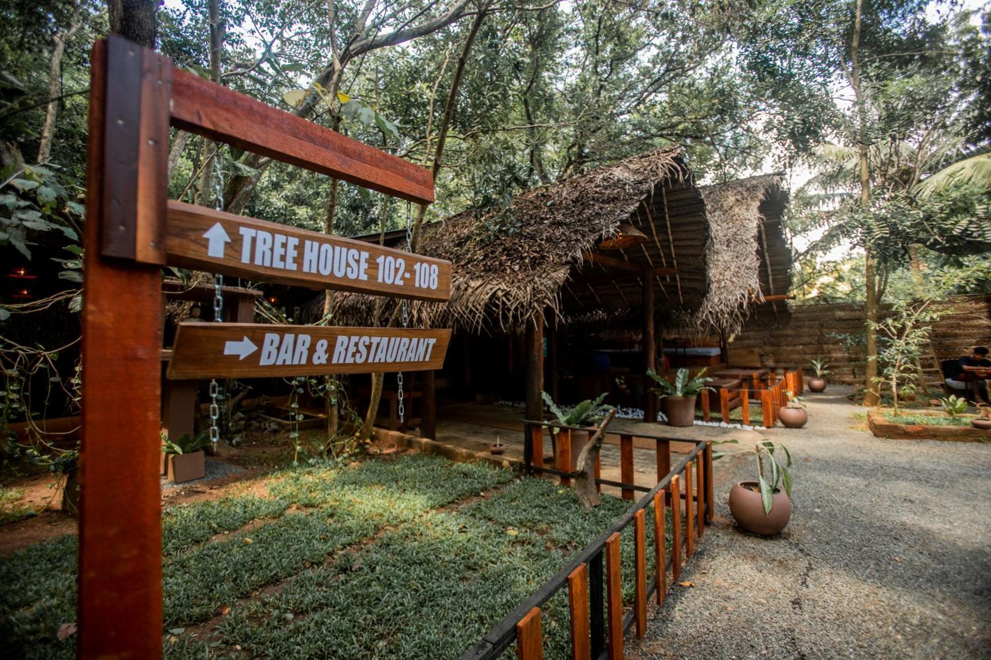 Inn On The Tree Eco Resort Sigiriya Kibissa Buitenkant foto
