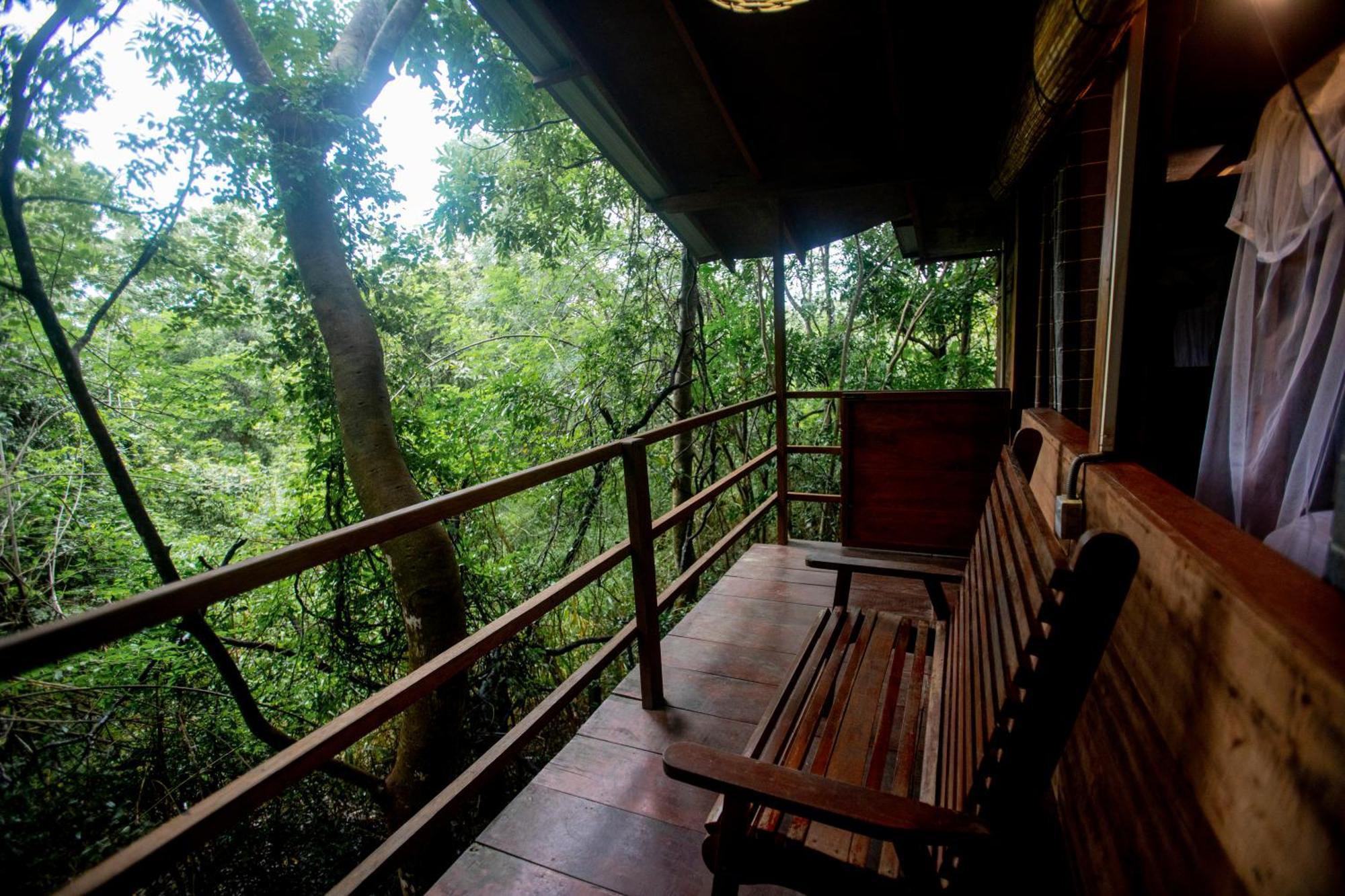 Inn On The Tree Eco Resort Sigiriya Kibissa Buitenkant foto