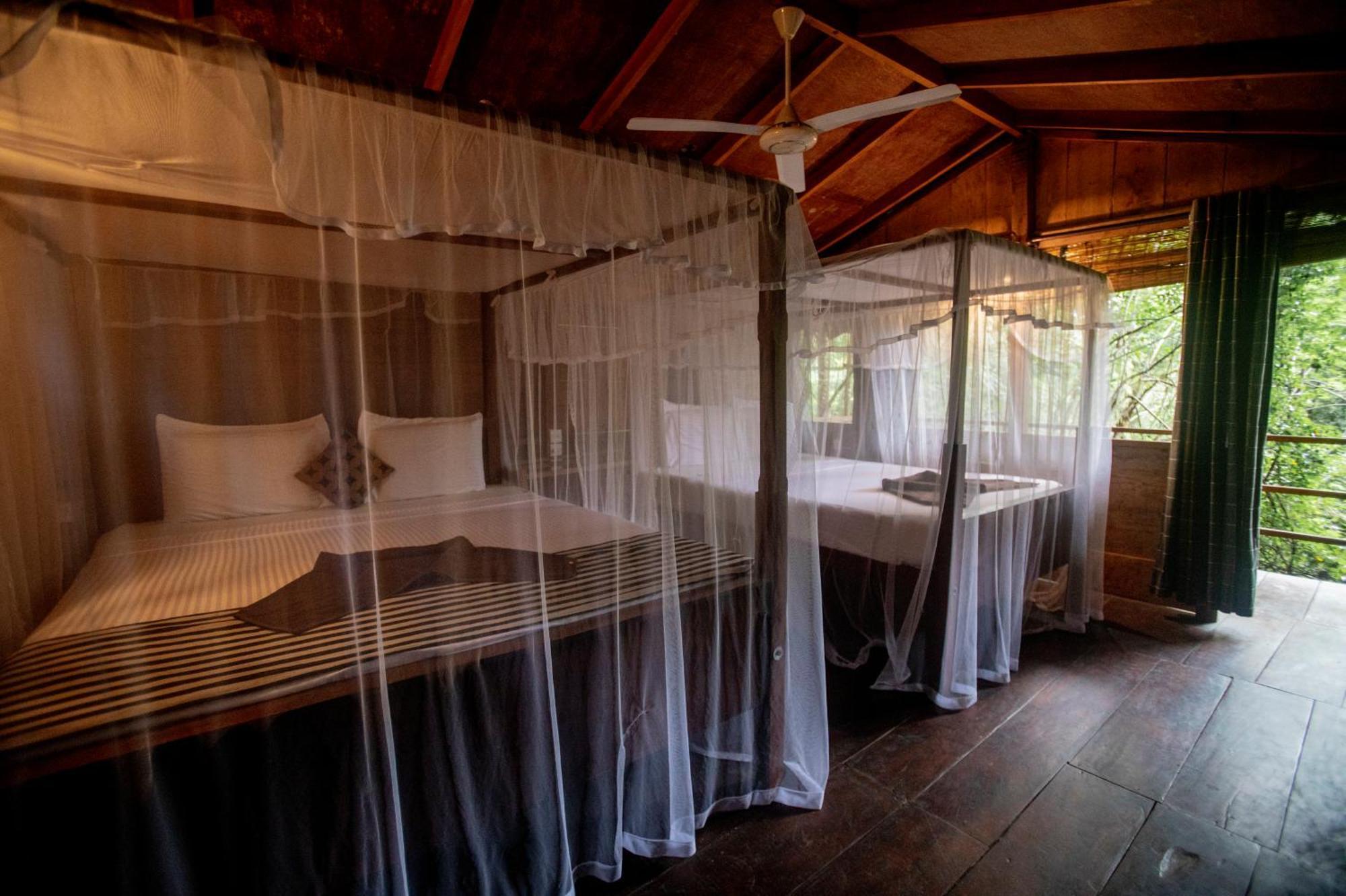 Inn On The Tree Eco Resort Sigiriya Kibissa Buitenkant foto