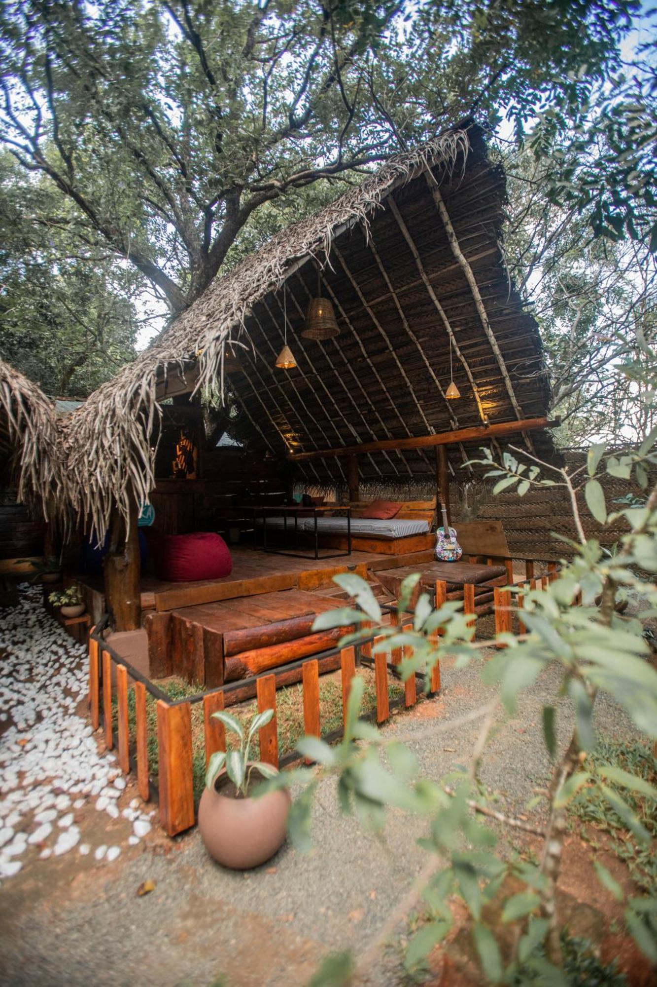 Inn On The Tree Eco Resort Sigiriya Kibissa Buitenkant foto