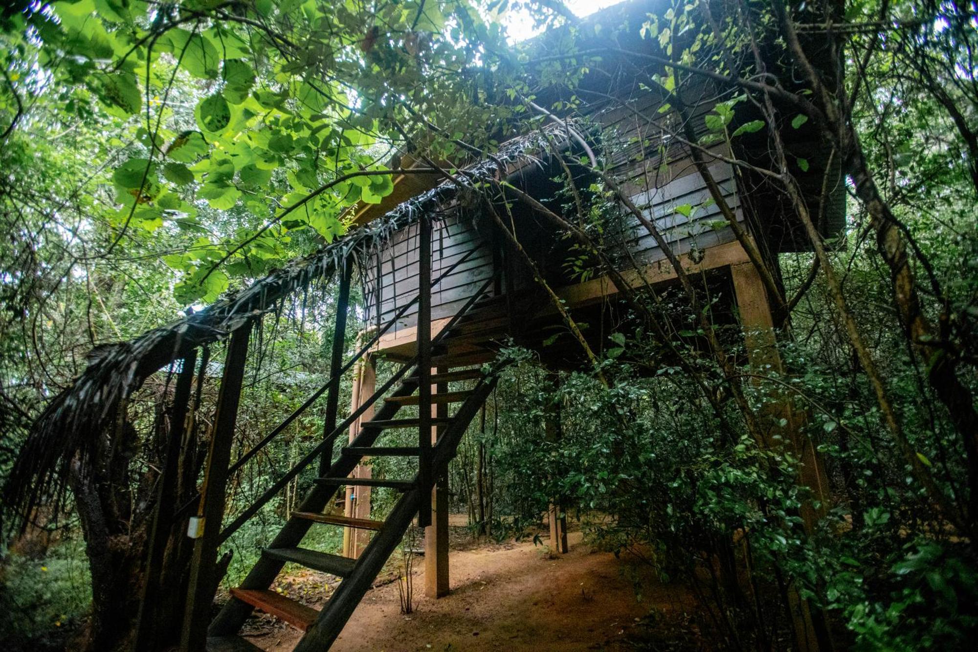 Inn On The Tree Eco Resort Sigiriya Kibissa Buitenkant foto