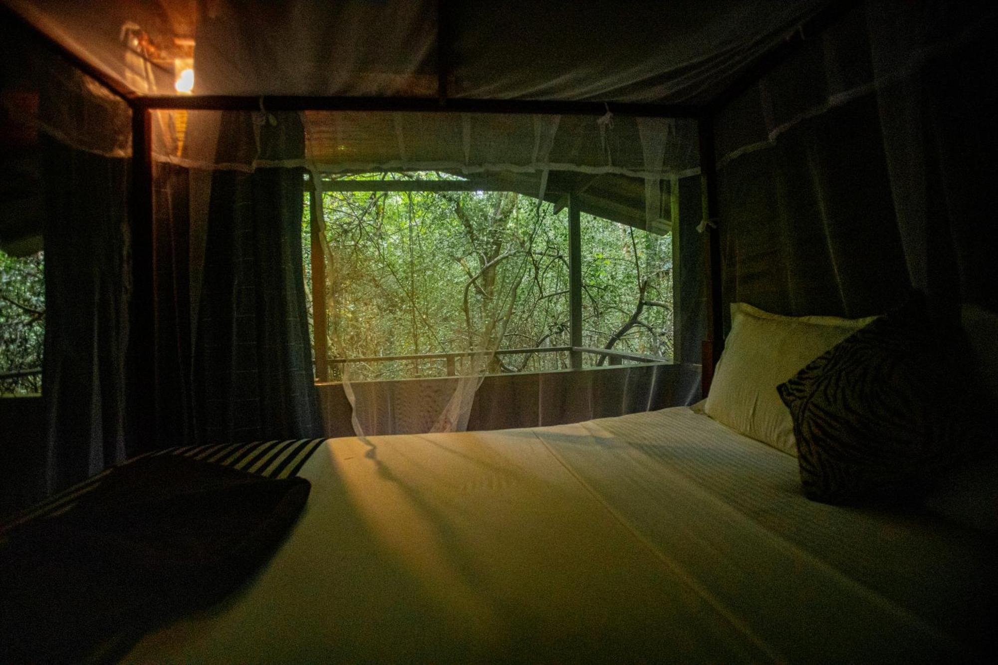 Inn On The Tree Eco Resort Sigiriya Kibissa Buitenkant foto