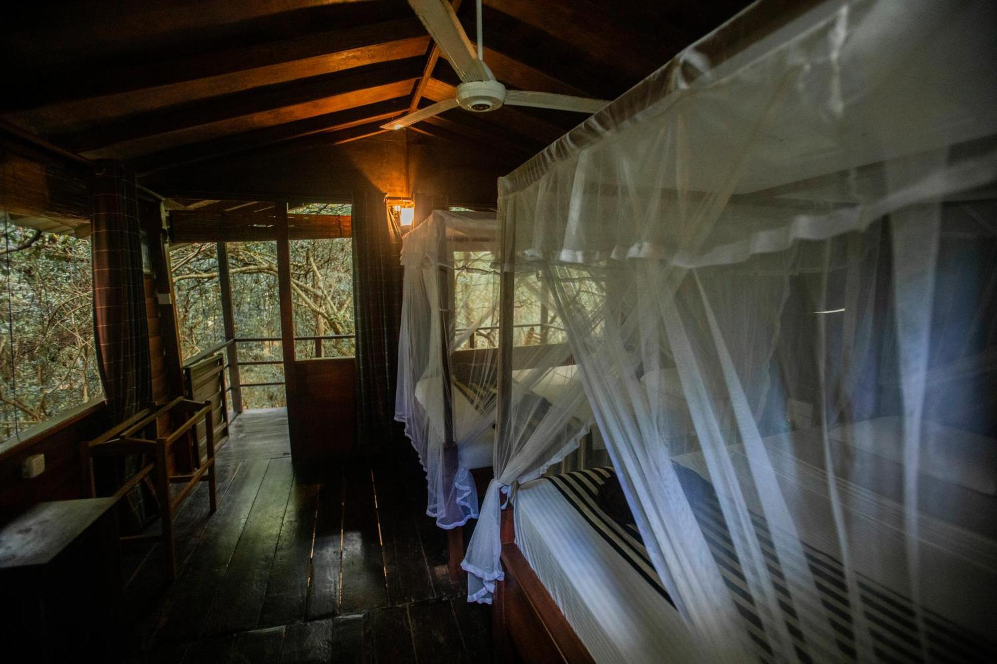 Inn On The Tree Eco Resort Sigiriya Kibissa Buitenkant foto