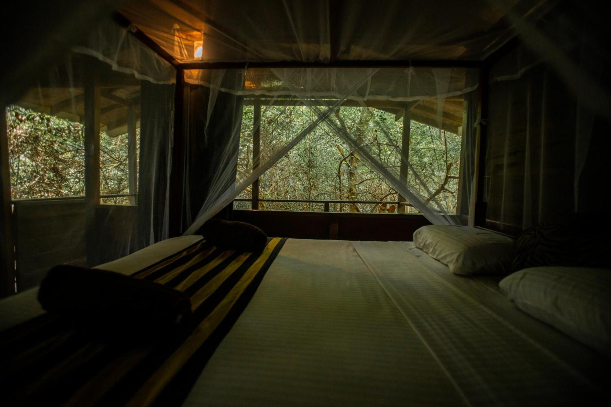 Inn On The Tree Eco Resort Sigiriya Kibissa Buitenkant foto