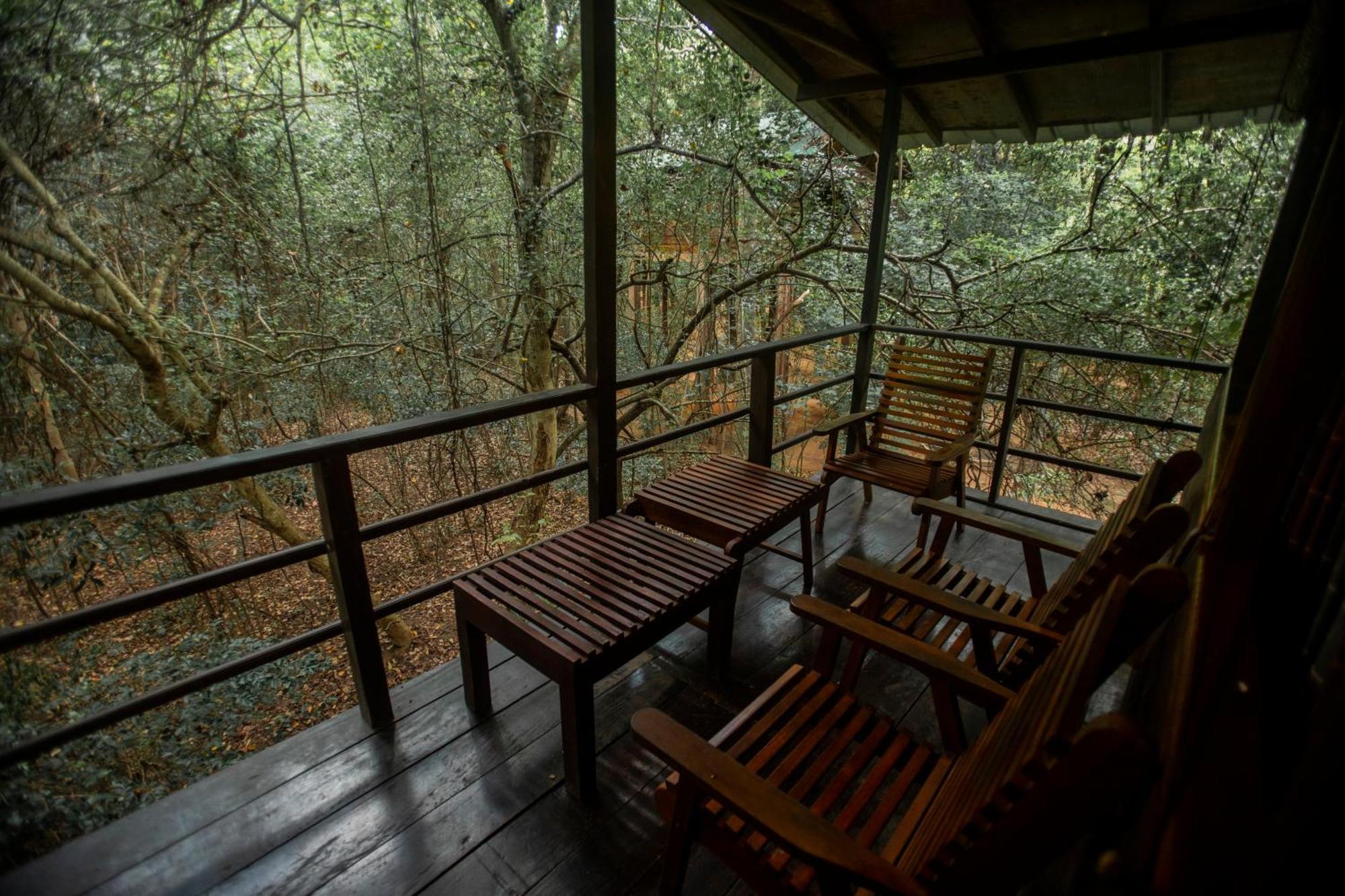 Inn On The Tree Eco Resort Sigiriya Kibissa Buitenkant foto