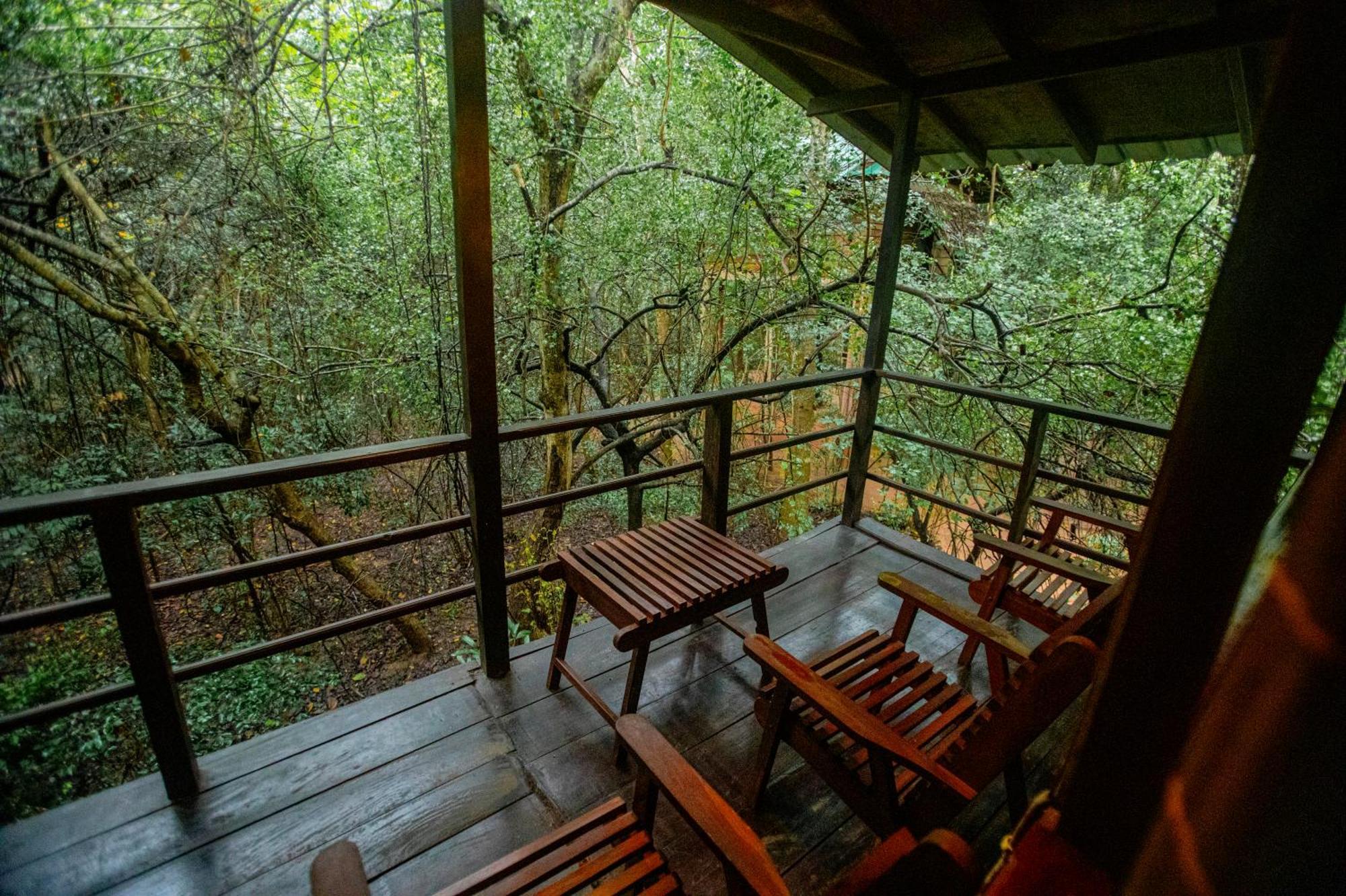 Inn On The Tree Eco Resort Sigiriya Kibissa Buitenkant foto